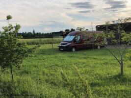 faltsessel camping STAHLWERK Campingstuhl CS-95 ST Gartenstuhl | Klappstuhl