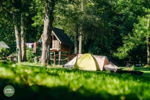 Camping an der Mecklenburgischen Seenplatte in der Natur